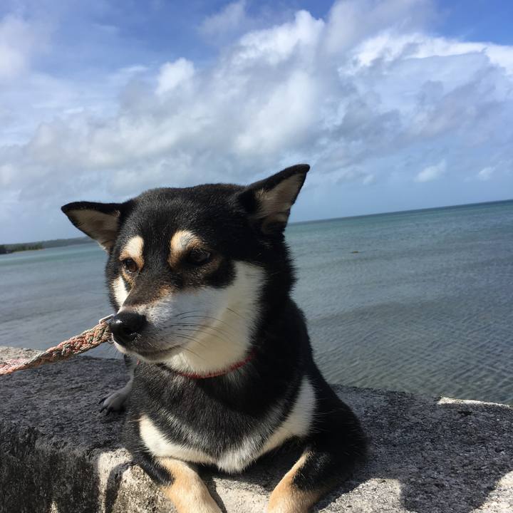 1ba347f9 8975 410c 860b 895303dac83e