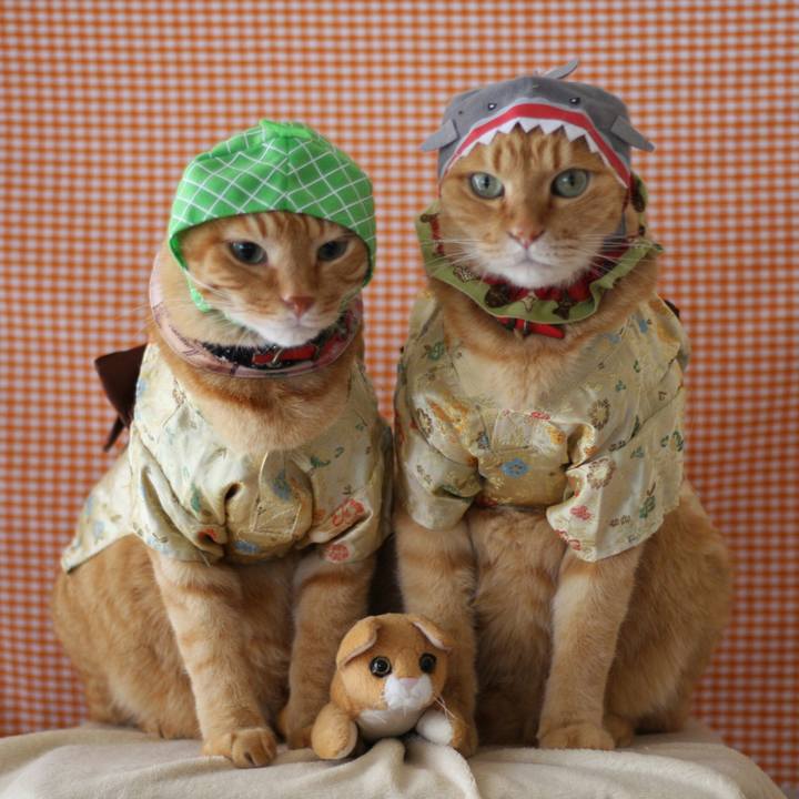 1ba3f8db 4c45 4b24 8dfc badddf20d8b3