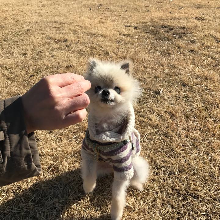 1ba522d5 de57 4683 896c bd9fc406348c