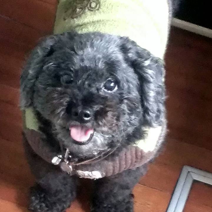 1ba58091 7d07 4de3 ad8f 5dcf6c9f6bb1