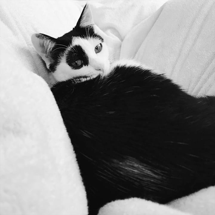 1ba58b4d 929a 41ba 9f0c cceda72a5d74