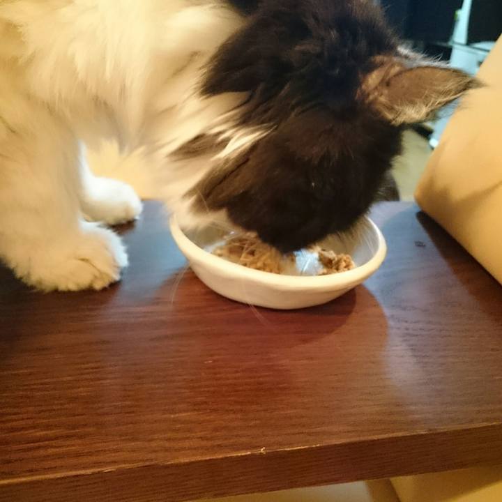 1ba58cf5 fc63 42fd b7c4 37327c363158