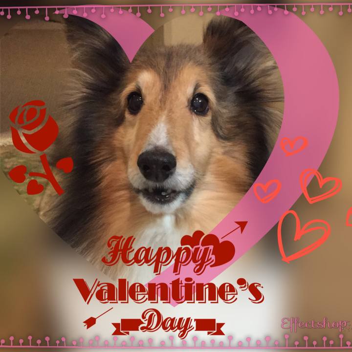 1ba58e4c 8f95 43e4 a89b e670de46ad18