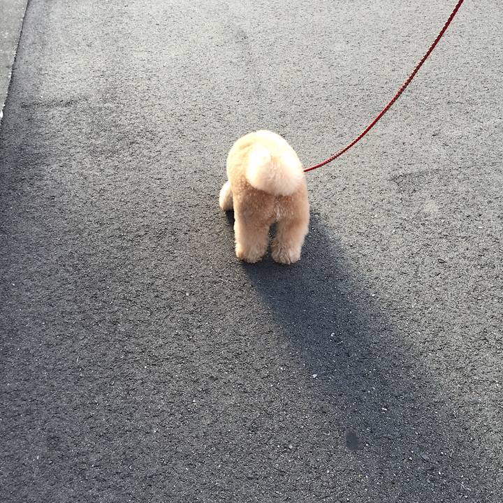 1ba5e483 4ae5 44c9 b868 9ec18fb29896