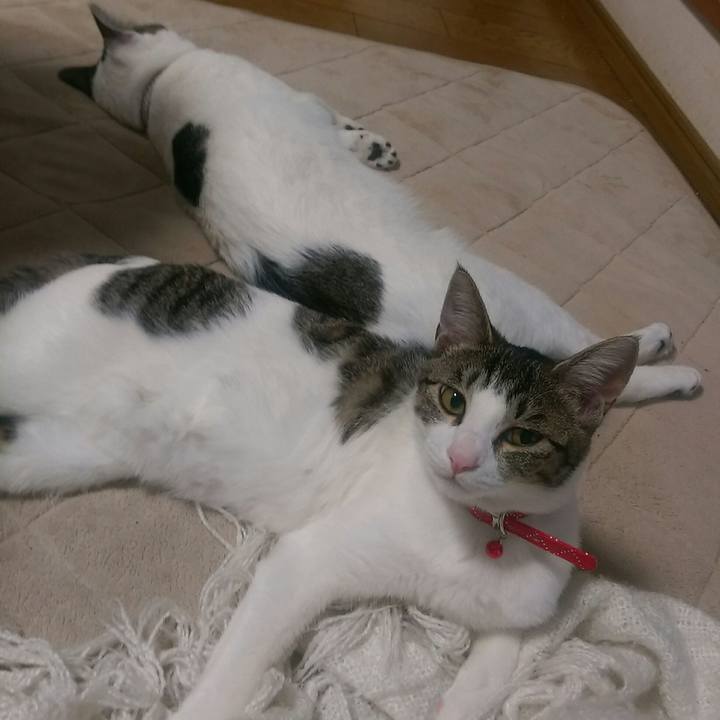 1ba69818 94af 46a8 b8fe 7e7d116dba5d