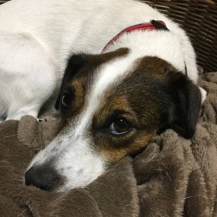 1ba74af0 091b 4ef8 a828 15c33c71ed9c