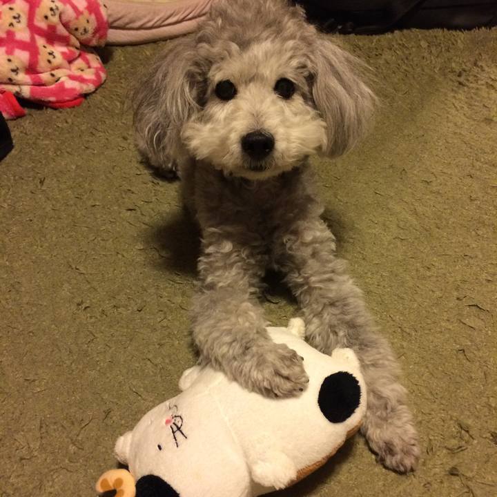 1ba7afcb d6dc 4b54 8247 b8c450cc42e4