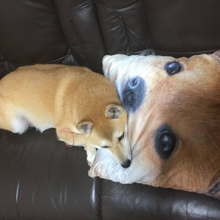 1ba826c1 bcaa 4927 9059 e416dffc702d