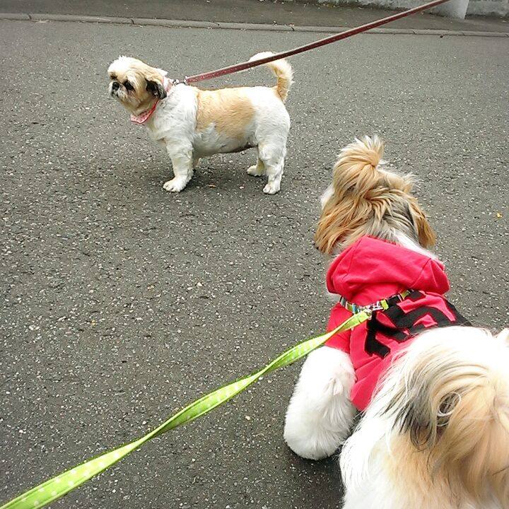 1ba84852 b504 4ba7 a22f 72950b51730e