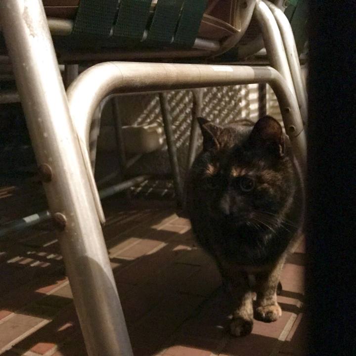 1ba97852 1600 4bc5 a470 c2de02a306be