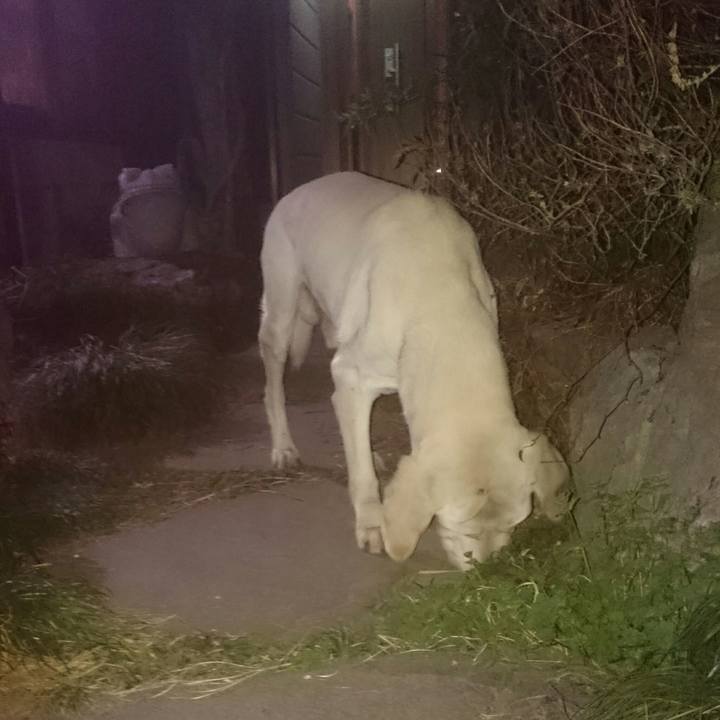 1baa0fd1 026b 4b57 b83f 801bcc2c15fd