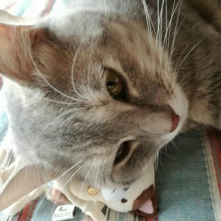 1baa5d4f 98eb 4904 9503 754fdbab5ef9