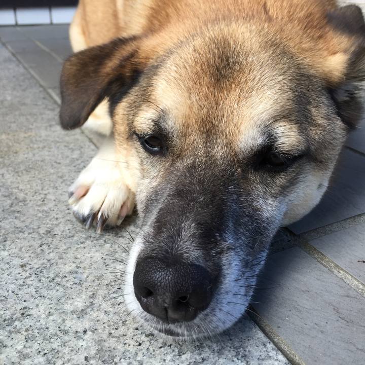 1baa861e 607f 4da8 b8fa 062e30ff832e