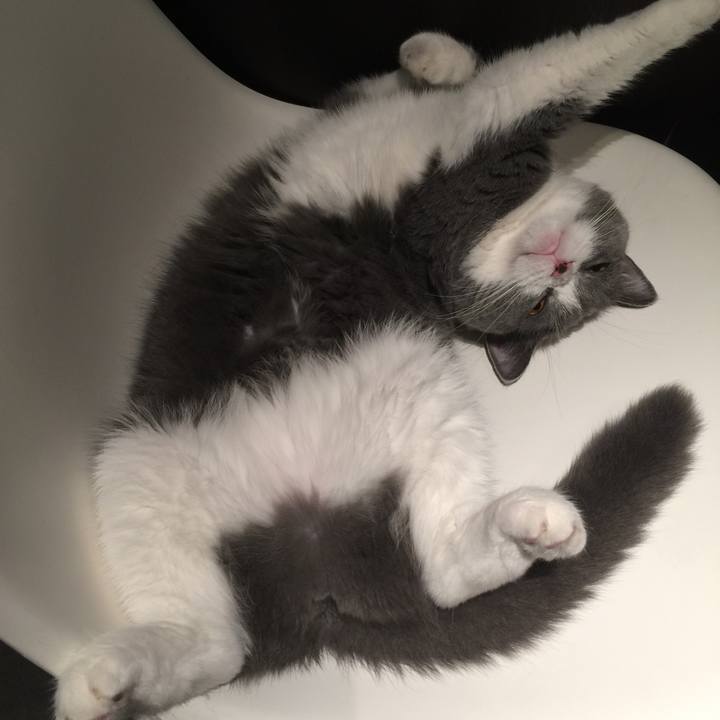 1bab3a0e f84d 4ea8 ba94 cb48aff69735