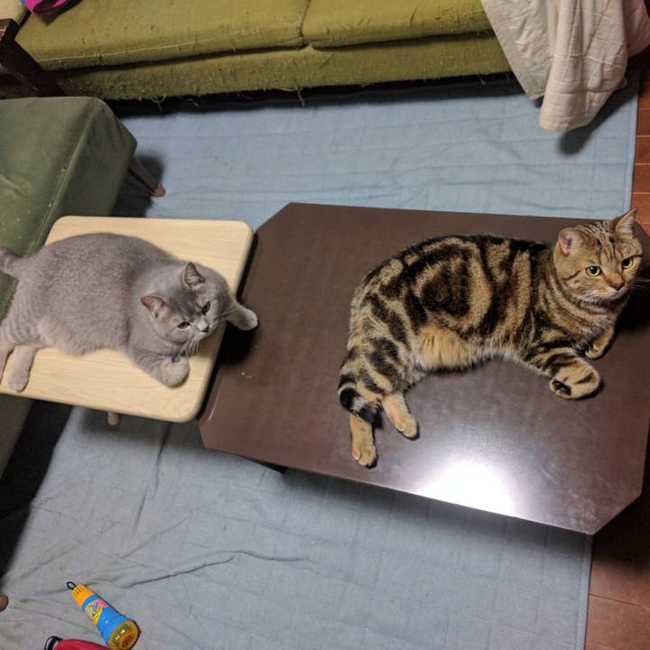 1bab6f30 2db6 4ec6 8515 b8a4cba91aad