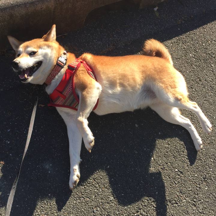 1bac3fc8 68fb 4d48 9ed5 abb8e1eeb8be