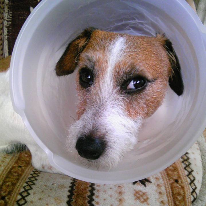 1bac7a0e d498 4649 b6fb 4053ba272dd7