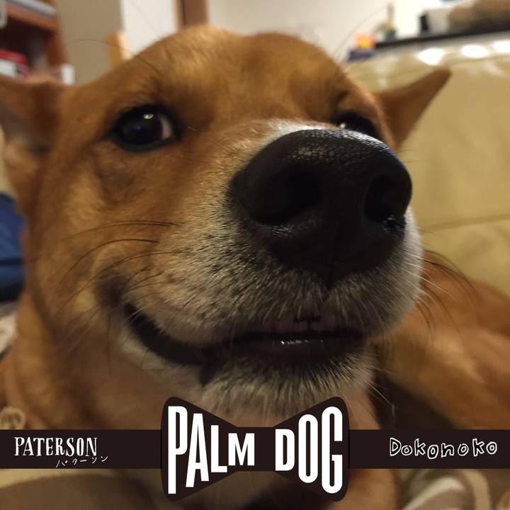 1bad67b4 fb13 47db a665 3d00e69d4cbb