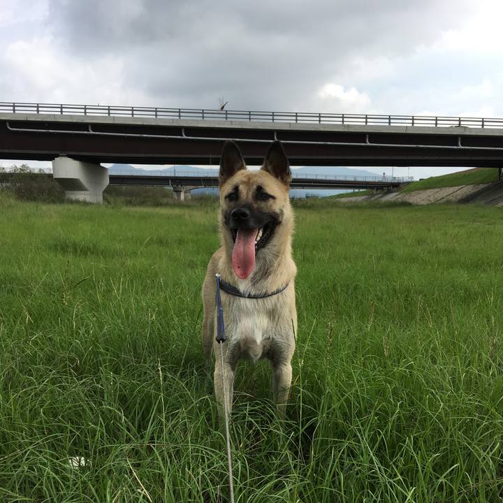 1bae37be dd8e 44fa 9d7e 92c38a34bc7c