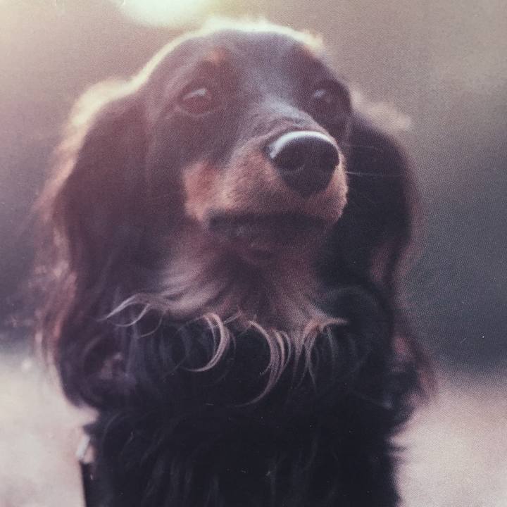 1bae8589 5a26 44a7 86be 3d253758f682