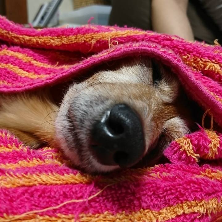 1bae92cd 6b7d 43d5 980b 687c8b2dcb28