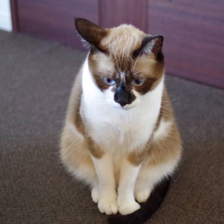 1baeb073 aeab 4ab6 8cad ba0c03657e81