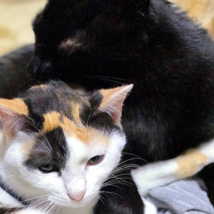 1baf395f 59c2 4ea4 bcfa 48bff4b63faf