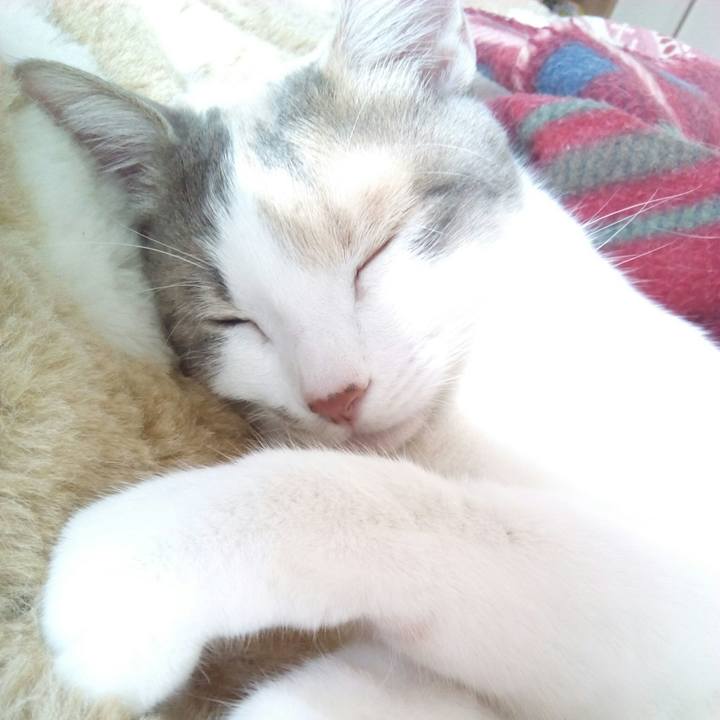 1bb10ff9 c80d 438a b1dd 84e2fd707011