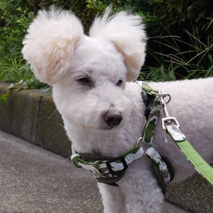 1bb15cef 9234 4904 8683 85deb6f3a3fb