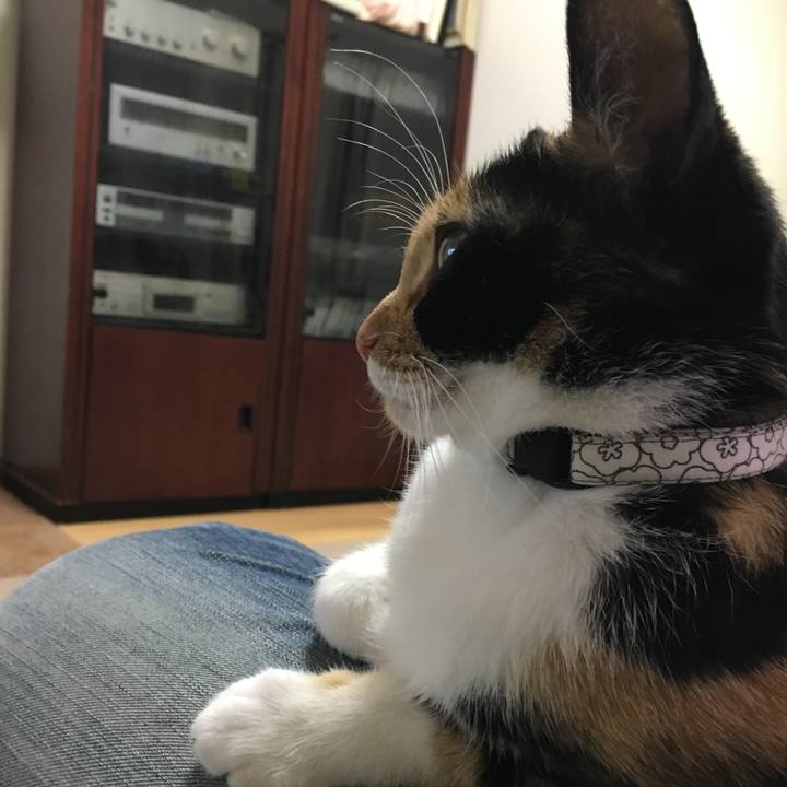 1bb20c7c 8ef2 4337 80e6 1faf53470b7e