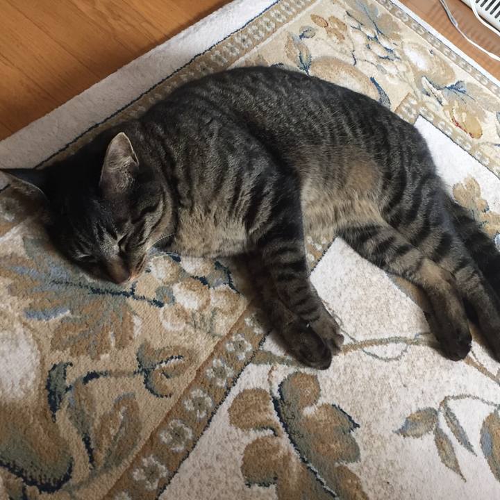 1bb22ed1 34fc 46a7 ba0d 9fa72ed685ef