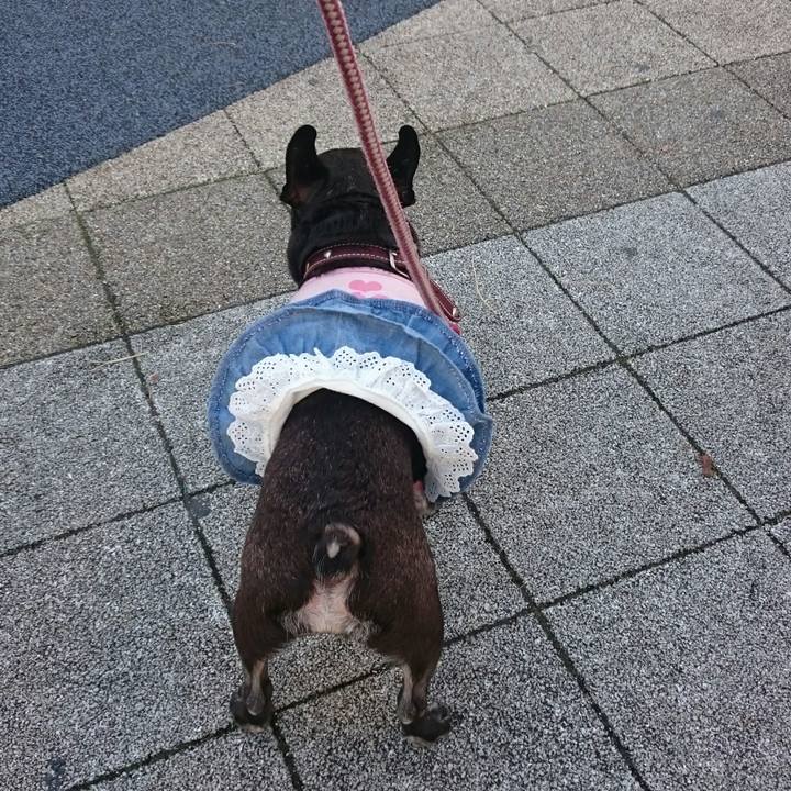 1bb26a7b 3fa7 40ee 982a f5c69f50eafb