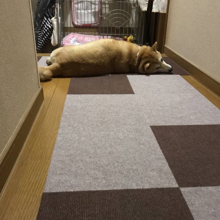 1bb297de 3843 4fcf 9f37 573209211d14