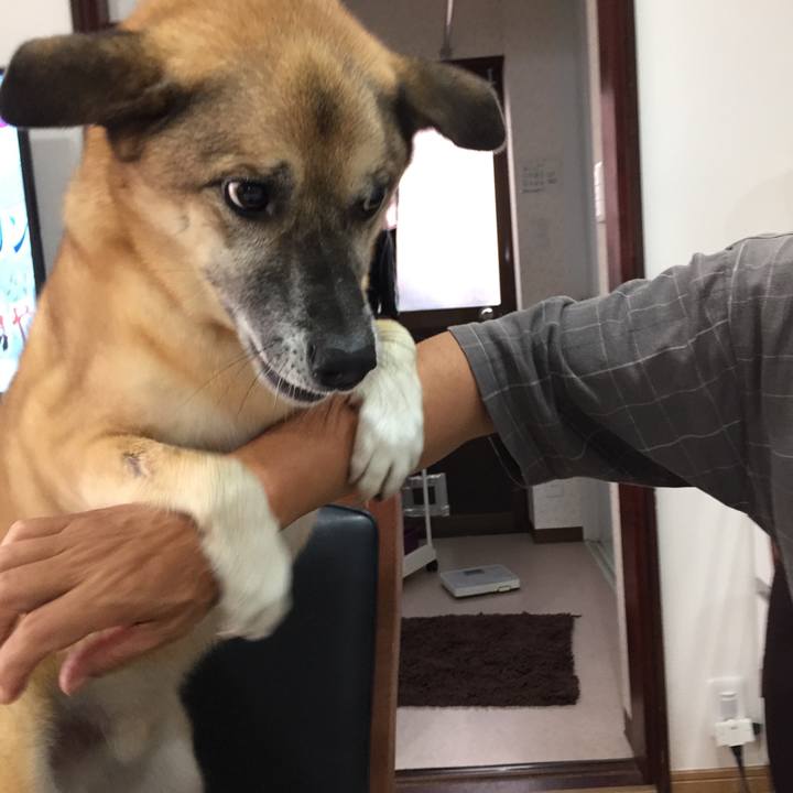 1bb3c89a 21ce 49fc 894b 6bcb61f4228b