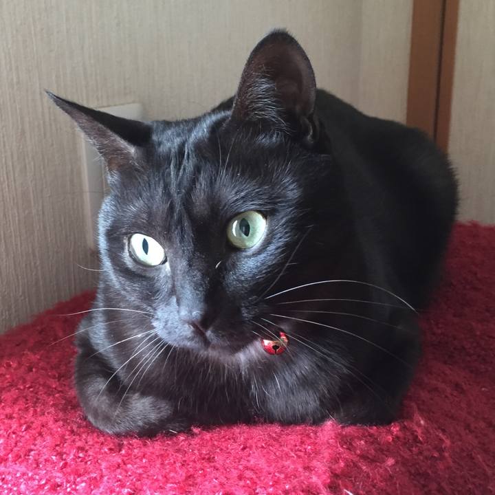 1bb41fa0 4c6a 4509 aba0 96ee5d7699f9