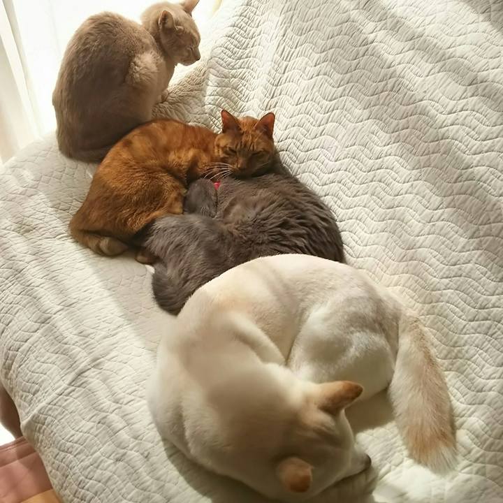 1bb4ad84 b01e 4653 b7b8 1d85a29723d8