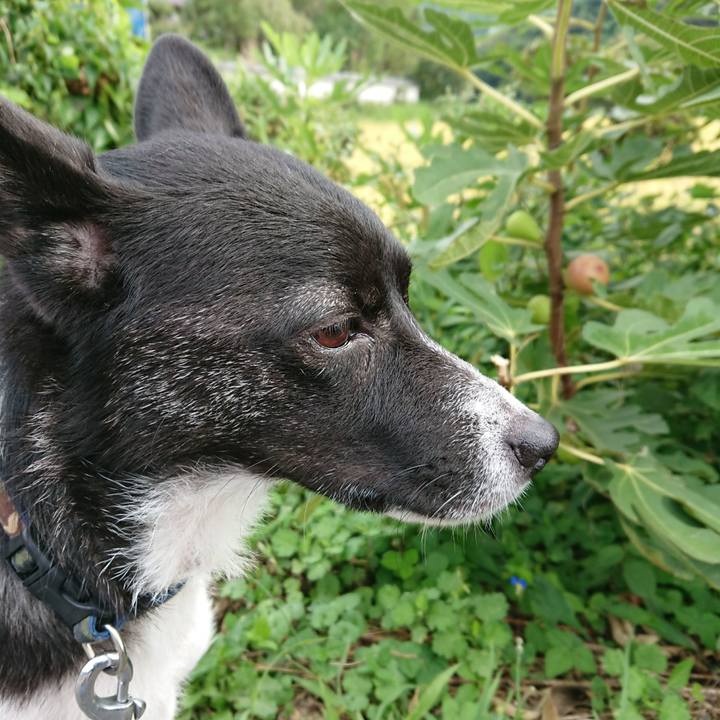 1bb4b956 bb73 4f2d 8d0f 2d3d7078fa8b