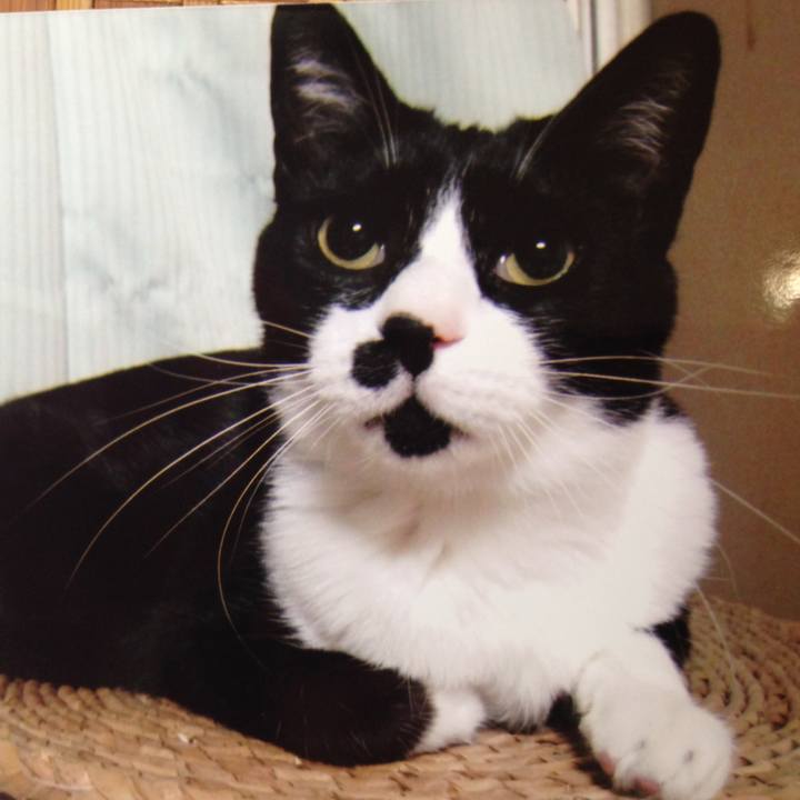 1bb61ad2 6e1a 4b4a b384 bc7d5c0c913c