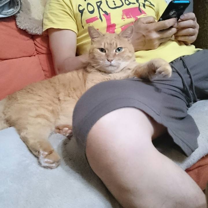 1bb65e0f fcb0 4be8 9457 90fec28287c5