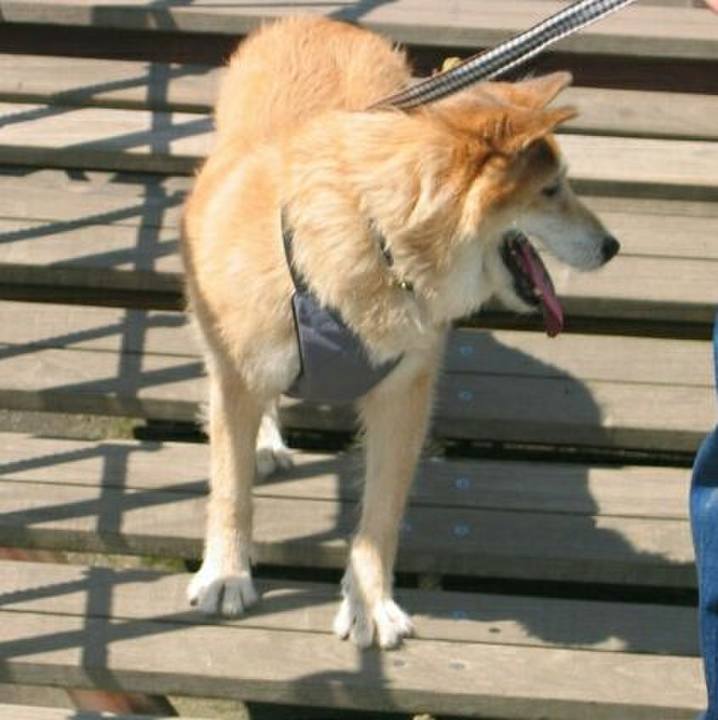 1bb680ab b28e 4496 8654 cc8f2a63f58f