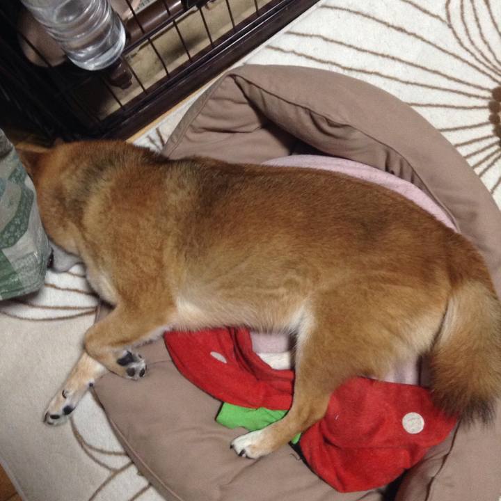 1bb6c4ac a246 4c70 bd58 6c91364446cf