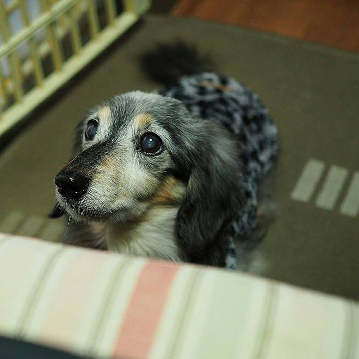 1bb6eecd d68b 412f a42e 4cfafed12f6b