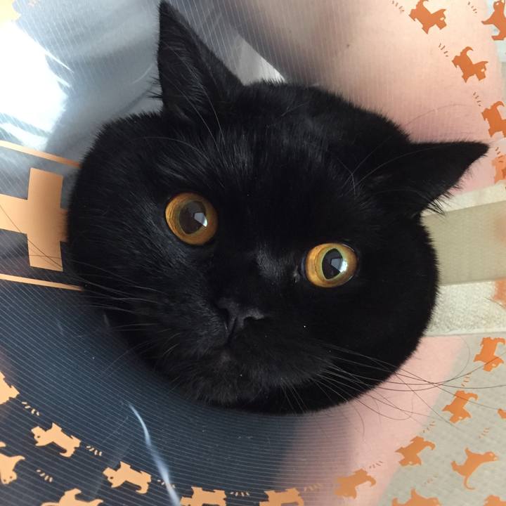 1bb7763c 82f9 4dab 8134 af54a7250b2c