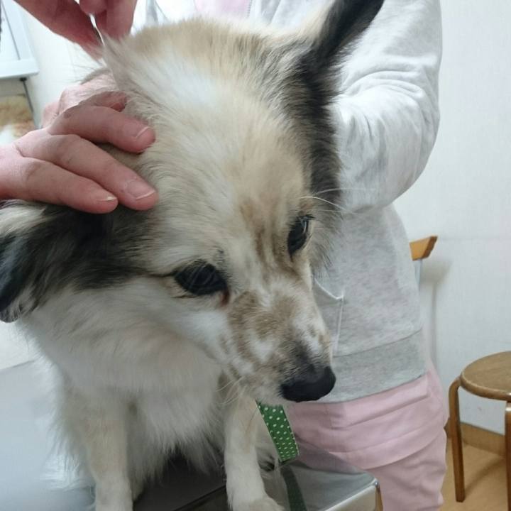 1bb7cace 9d7f 4f35 9e74 95585f106200