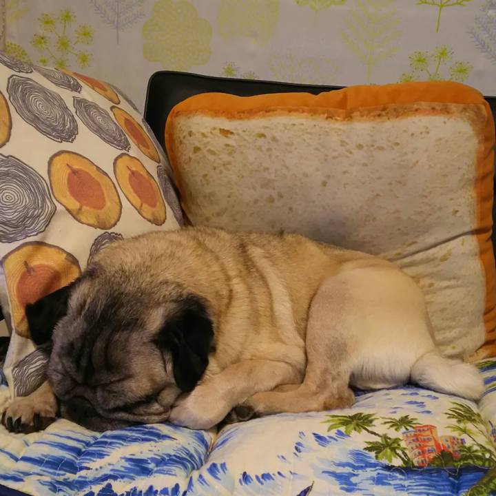 1bb80413 5c34 4f7c a302 cc2df87d19c9