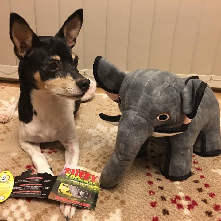 1bb825df 09ca 453d bd89 52c345368aad