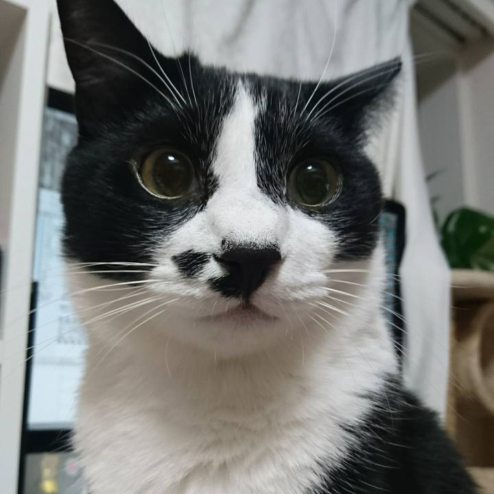 1bb8dcef dfa6 4807 a882 fe359bc75525