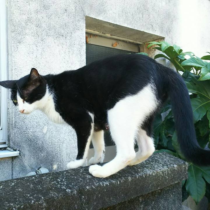 1bb94100 12da 4bbe a1a6 5bc3d1245d57