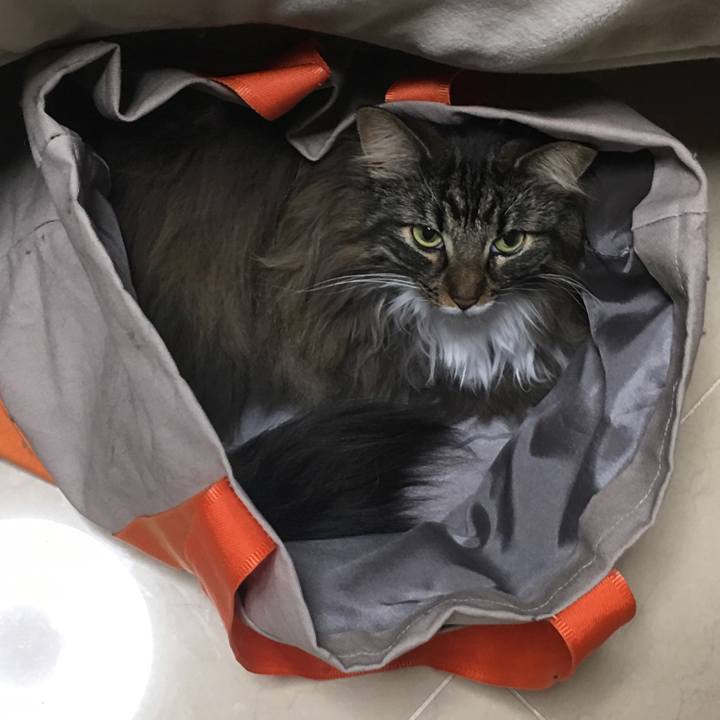 1bb9d1b5 cf18 40a8 b4f7 05a5d8f2b075