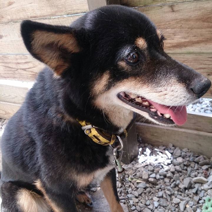 1bbb1757 7ae7 42bc b445 311583d78933